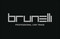 Logo Brunelli Pro Car Srl